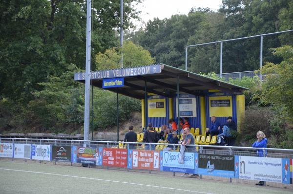 Sportpark De Pinkenberg veld 3-DVOV / Veluwezoom - Rozendaal