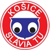 Wappen Slávia TU Košice  56840