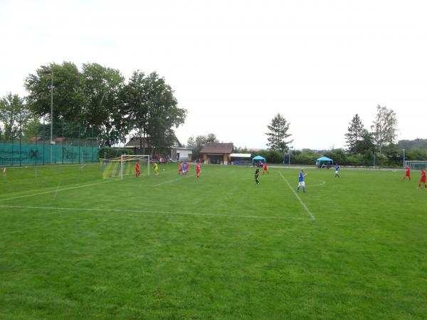 Glatze, Bart und Bauch Arena - Haunoldstein