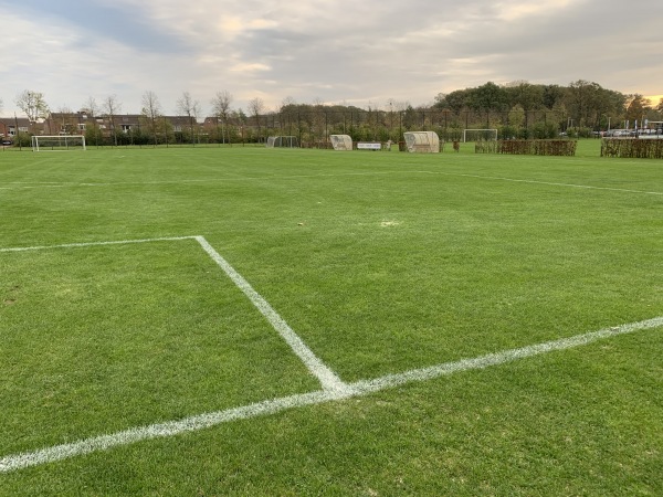 Sportpark Jaspers veld 6 - Winterswijk