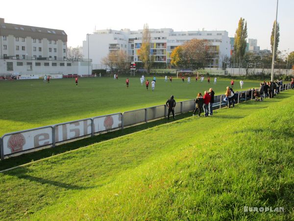 Alter Zustand (Naturrasen, ohne Tribüne)