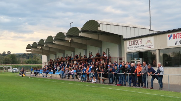 Ochsner Arena - Blindenmarkt