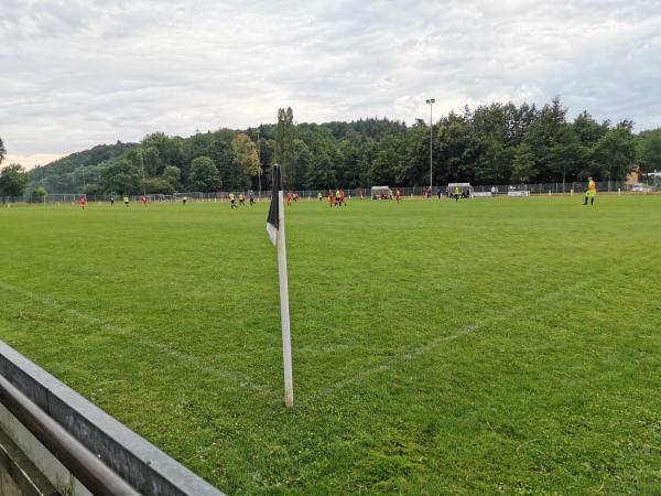 Professor-Karolus-Stadion Nebenplatz - Sinsheim-Reihen