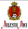 Wappen FC Viişoara Mileştii Mici