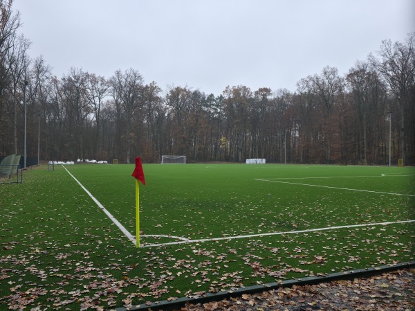 Stadion im. Henryka Witkowskiego w Dębnie boisko obok - Dębno