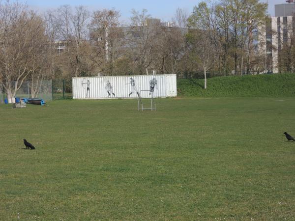 Sportgelände Süd Platz 3 - Mainz-Bretzenheim