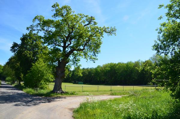 Sportplatz am Ahrgebirge - Blankenheim/Ahr-Lommersdorf