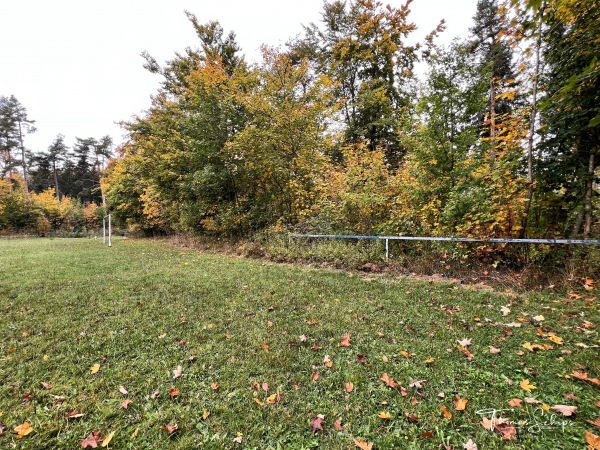 Lerchenfeld-Sportplatz - Albstadt-Langenwand