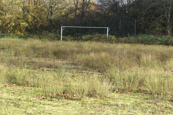 Werner-Lehmann-Stadion Nebenplatz 2 - Bergheim/Erft-Oberaußem