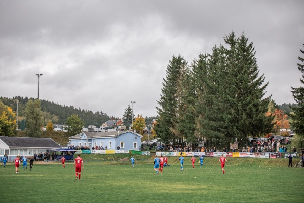 Sportanlage Jahnstraße - Ellefeld