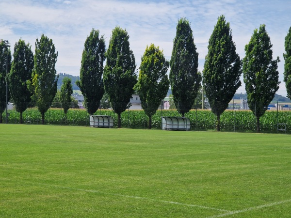 Sportzentrum Niedermatten Nebenplatz 2 - Wohlen