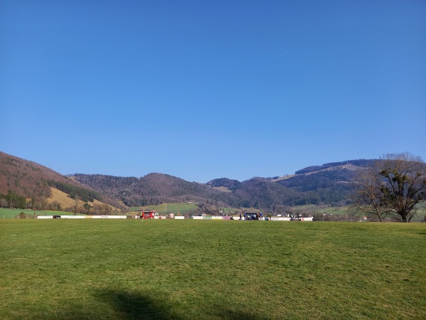 Terrain du Vert-Bois - Montsevelier