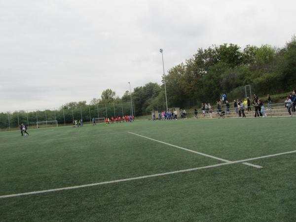 HWG-Stadion am Zoo Nebenplatz 2 - Halle/Saale