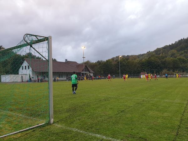 Manfred Volz Sportpark - Horb/Neckar