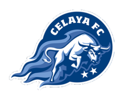 Wappen Celaya CF  11123