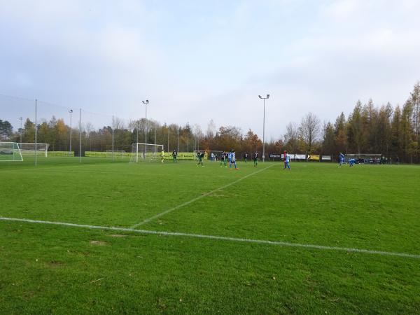 Raiffeisen Arena Platz 3 - Pasching