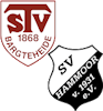 Wappen SG Bargteheide II / Hammoor