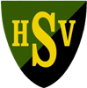 Wappen SV 1919 Hofheim diverse