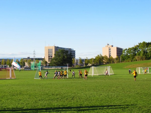 Sportanlage Allmend Nebenplatz 3 - Bern