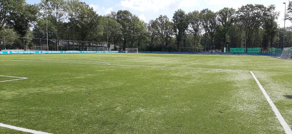 Sportpark De Boshoek veld 8 - Hardenberg