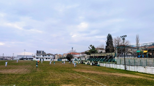 Gipedo Litis - Liti