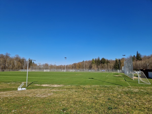 Voith-Arena Rasen-Ost - Heidenheim/Brenz