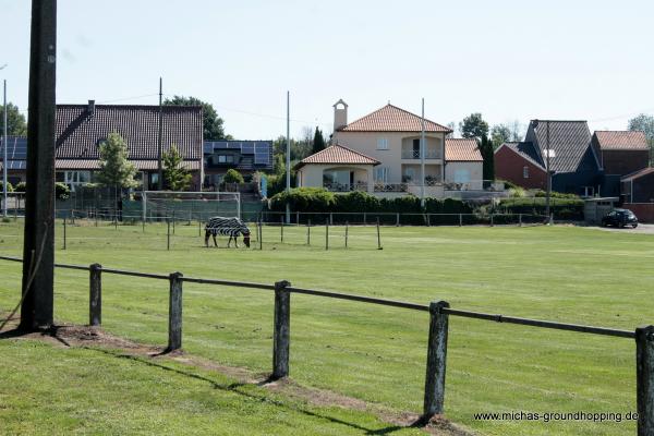 Jecora Stadion - Tongeren