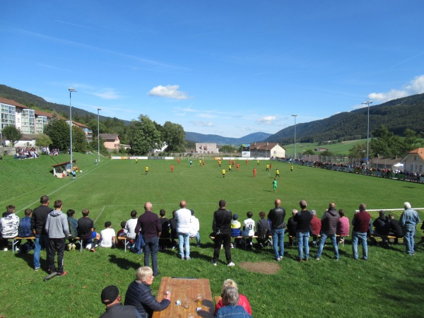 Terrain de Fin-des-Fourches - Saint-Imier