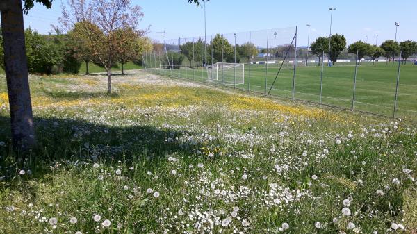 Sportplatz Tägermoos - Tägerwilen