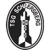 Wappen TSG Scheersberg 1967 diverse  43064