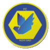Wappen RFK Novi Sad