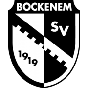 Wappen SV Bockenem 2007  13509