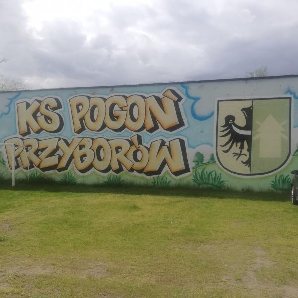 Boisko w Przyborówie - Przyborów