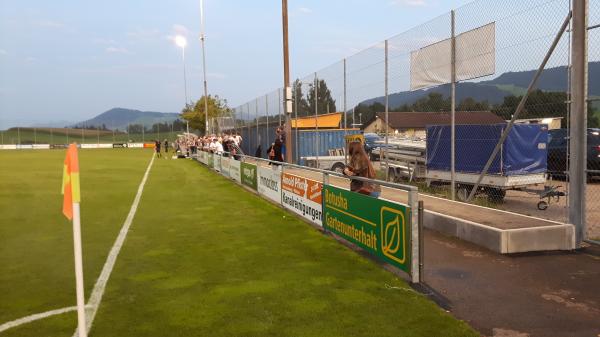 Sportplatz Beichlen - Wädenswil