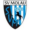 Wappen ehemals SV Molau 90  77464