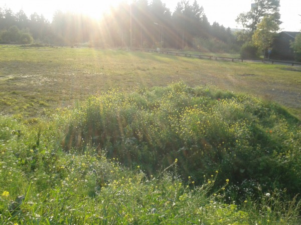 Sportplatz Pleckhausen - Pleckhausen