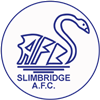 Wappen Slimbridge AFC  83009