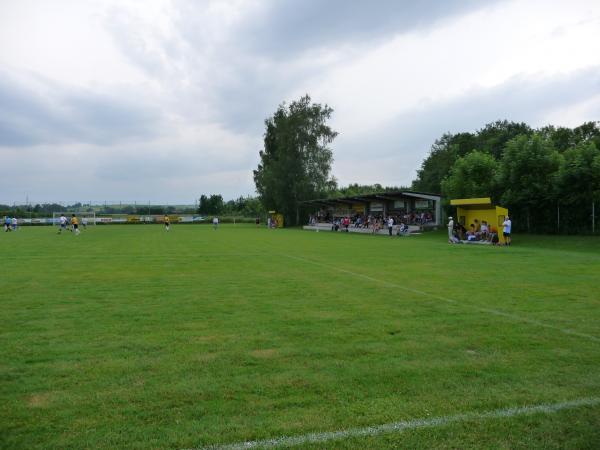 Fledermaus-Arena - Hofkirchen an der Trattnach