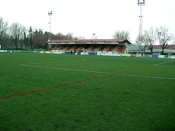 Camp d'Esports Municipal de Manlleu - Manlleu, CT