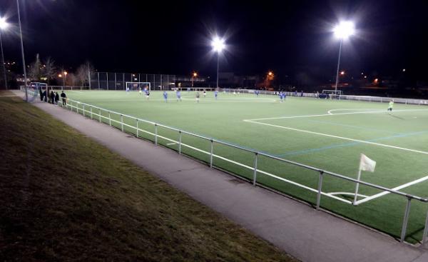 Sportanlage Amselweg Platz 2 - Neubulach