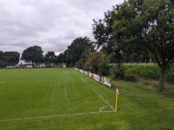 SwanCity-Arena - Kiebitzreihe
