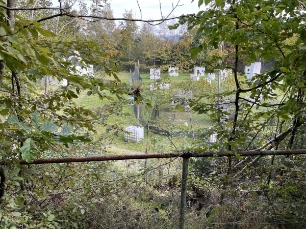 Sportplatz Emmershausen - Weilrod-Emmershausen