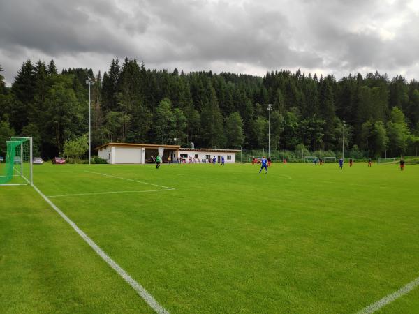 Walser Arena - Mittelberg-Hirschegg
