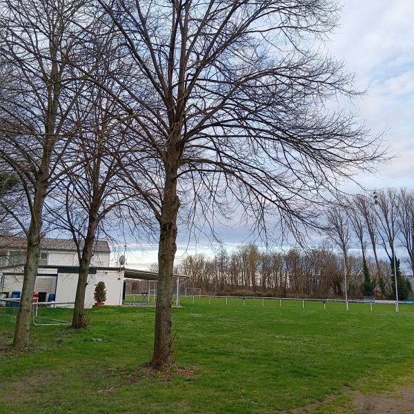 Sportanlage Merken - Düren-Merken