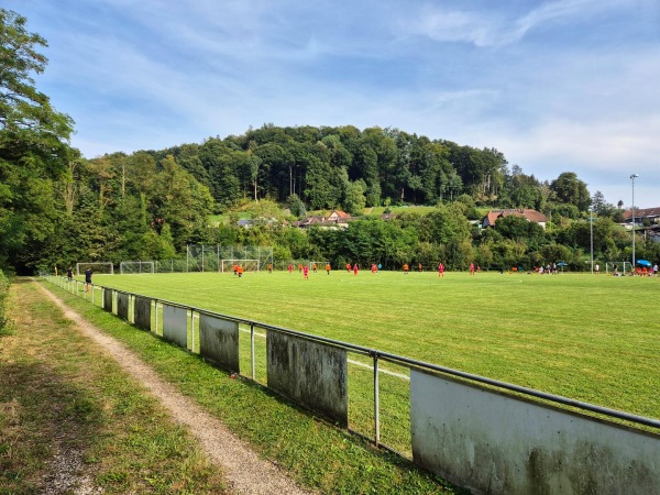 Sportplatz Inseli - Dotzigen