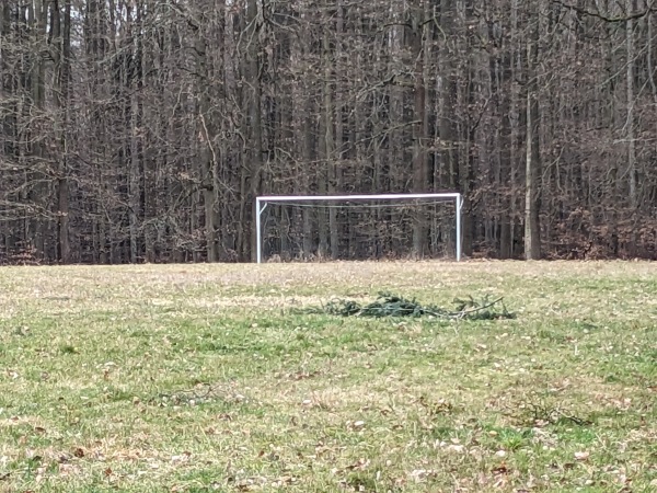 Sportplatz an der Windhund Arena 2 - Hünstetten-Limbach