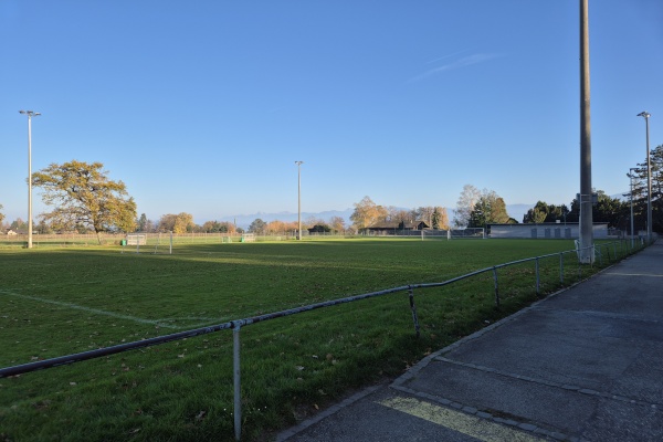 Terrain de Chaucey - Coppet