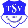 Wappen TSV Gestungshausen 1902 II