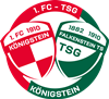 Wappen 1.FC-TSG Königstein 10/82/10 diverse  73252