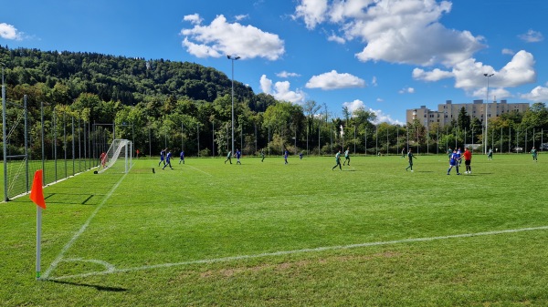Sportplatz Oberau Platz 2 - Untersiggenthal